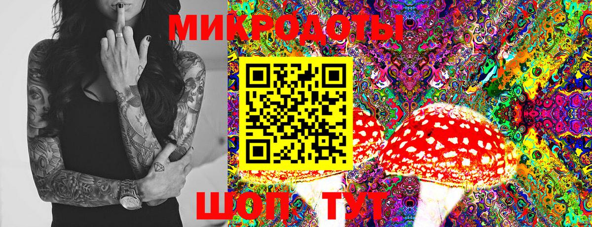 Галлюциногенные грибы Psilocybe  где купить   Новодвинск  Вход с VPN  Галлюциногенные грибы GOLDEN TEACHER 