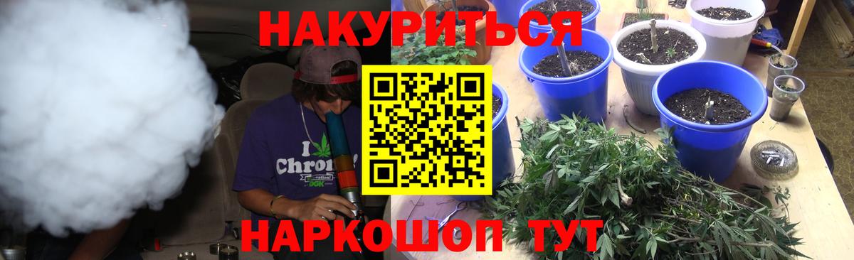 Шишки марихуана план  Вход с VPN  Марихуана сатива  Новодвинск 